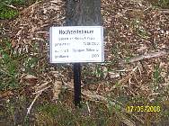 005_ADFC_Havelland-Radweg-nach Nauen_ 17_05_2008 Foto_j_Dirschl.jpg